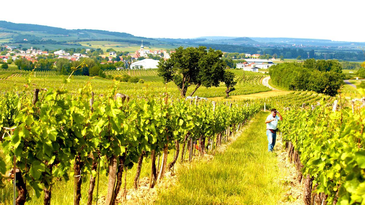 Iby-Lehrner Wein-Gut Und Wein-Traeumerei Horitschon Екстер'єр фото